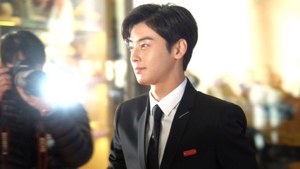 [Y영상] 차은우, ‘레드카펫 압도하는 얼굴 천재 비주얼’ (AAA 레드카펫) / YTN