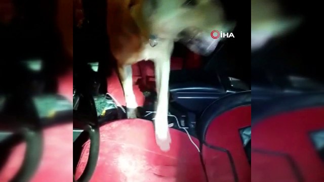 Polis zehir tacirlerine göz açtırmıyor