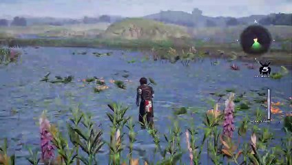 The Last Remnant Remastered - Balade dans les environnements