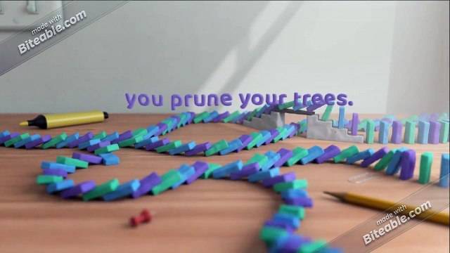 Tree Pruning Services | The Tree Doctor