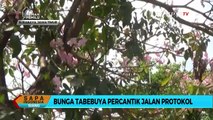 Bukan di Luar Negeri, Keindahan Ini Dapat Ditemukan di Jalanan Surabaya