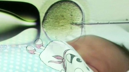 '유전자 편집' 아기 출산 논란 확산...中 당국 "엄벌하겠다" / YTN