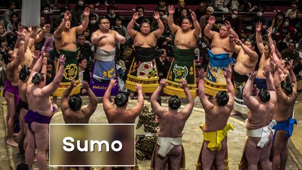 10 Most Popular Sports in Japan