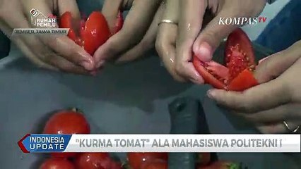 "Kurma Tomat" Ala Mahasiswa Politeknik Negeri Jember