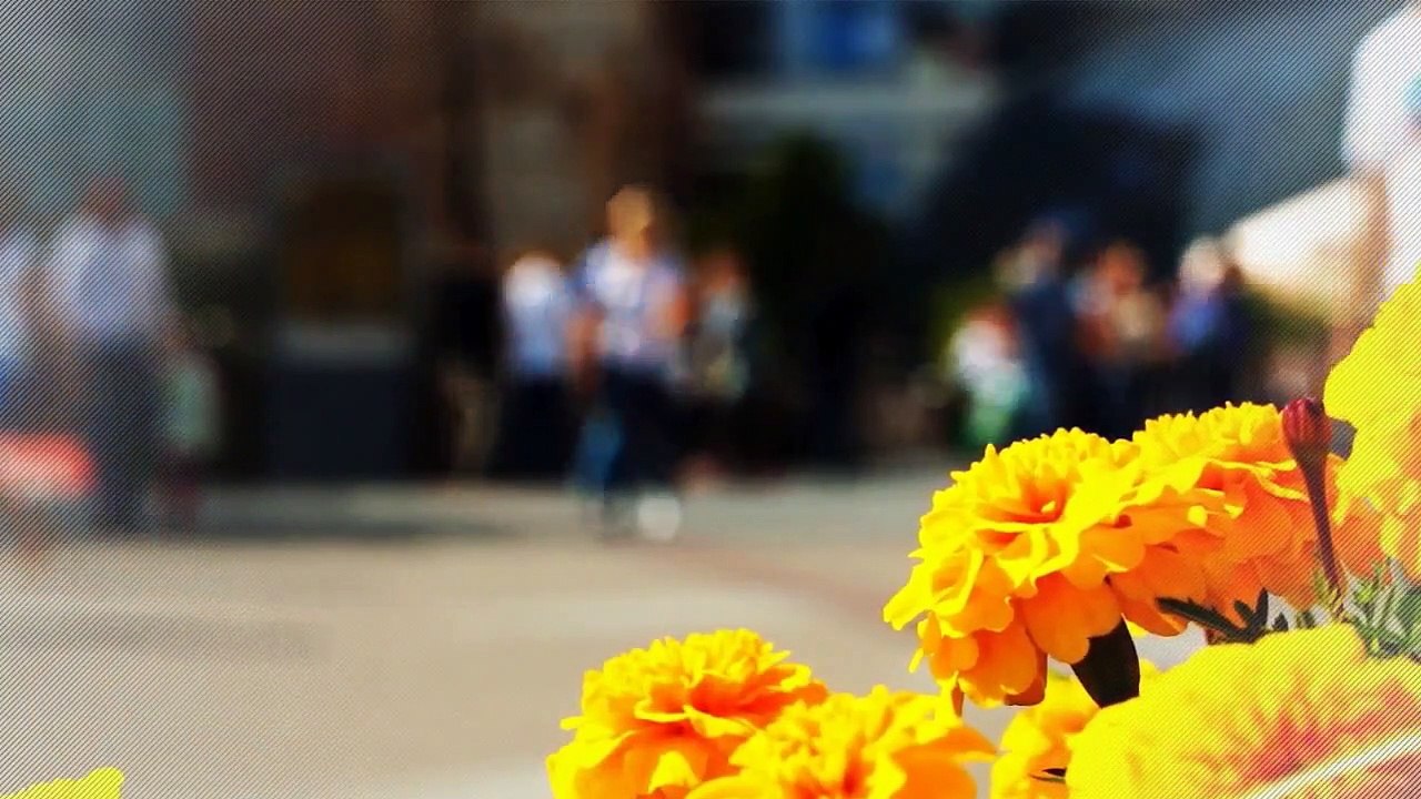 A louer - Appartement - JOUE LES TOURS (37300) - 2 pièces - 60m²