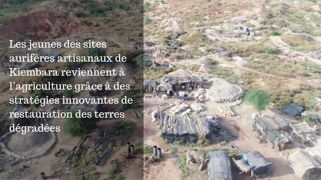 Burkina Faso : Les jeunes des sites aurifères artisanaux de Kiembara reviennent à l’agriculture grâce à des stratégies innovantes de restauration des terres dégradées
