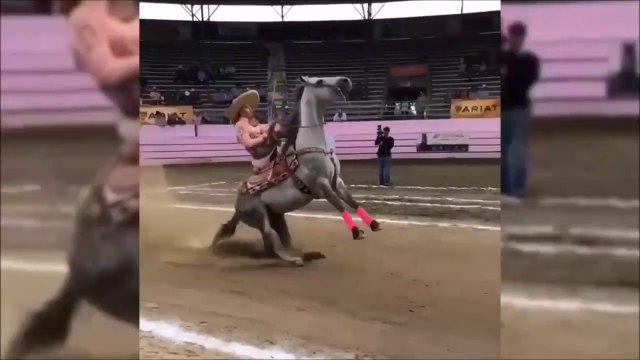 Concours de dérapage à cheval ! Tellement drôle