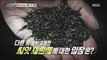 [INCIDENT]  Selling seeds sold elsewhere, 실화탐사대 20181128