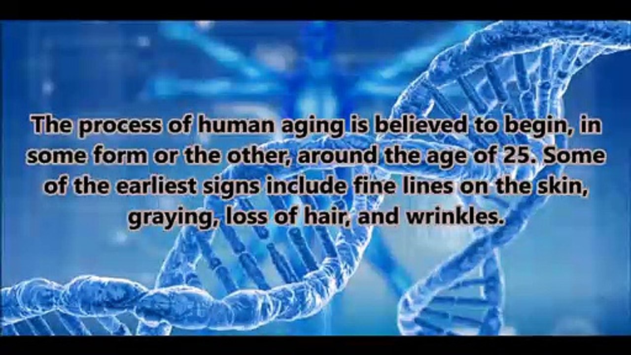 ‘Unprecedented’ Study Shows Signs Of Aging Can Be Reversed In Mice