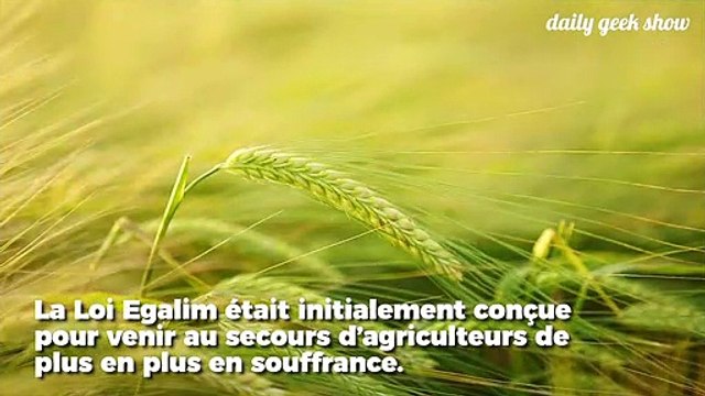 Le Conseil Constitutionnel annule l’autorisation de vente de semences paysannes