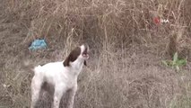Selde Cansız Bedeni Bulunan Yaşlı Adamın Köpeği Çiftlik Evinden Bir An Olsun Ayrılmadı