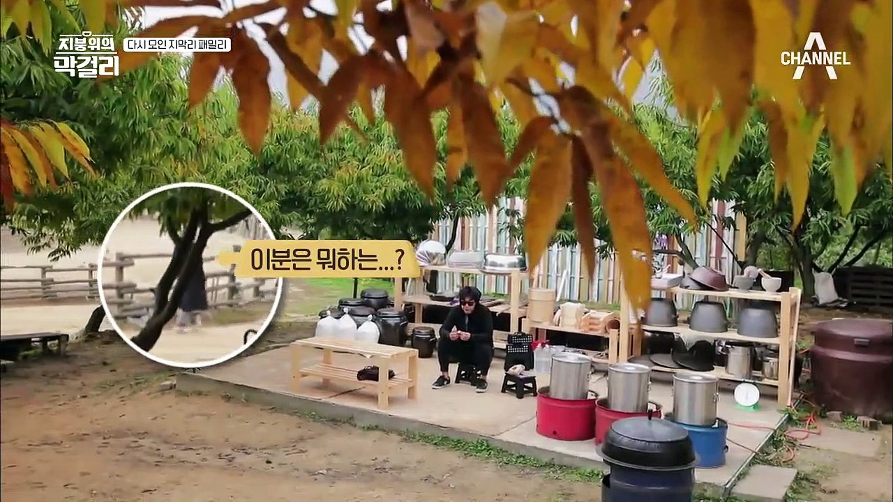 다시 모인 지막리 패밀리! 가만히 있어도 화보가 되는 손태영♥