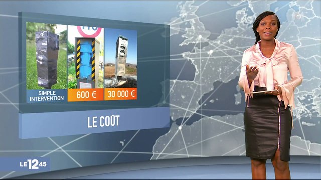 Gilets jaunes : des radars pris pour cibles