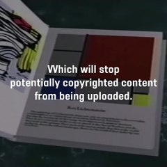 Article 13 could put human rights at risk