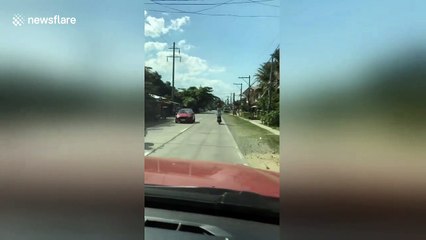 Motorists in Philippines amazed by elderly man standing on moving motorcycle