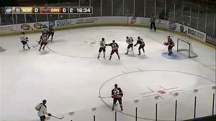 ECHL Norfolk Admirals 1 at Greenville Swamp Rabbits 0