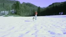 Herkommen durch Pfiff