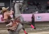 Ils organisent un concours de dérapage en cheval