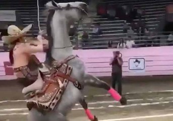 Ils organisent un concours de dérapage en cheval