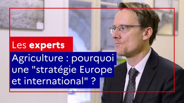 Qu'est-ce que la stratégie Europe et international ?