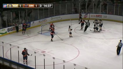 ECHL Norfolk Admirals 2 at Greenville Swamp Rabbits 1