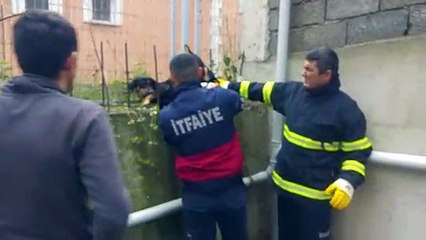 Vücuduna saplanan DEMİR, ismi oldu…