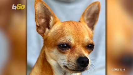 We Hide HOW MUCH in Secret Purchases from Our Partners?