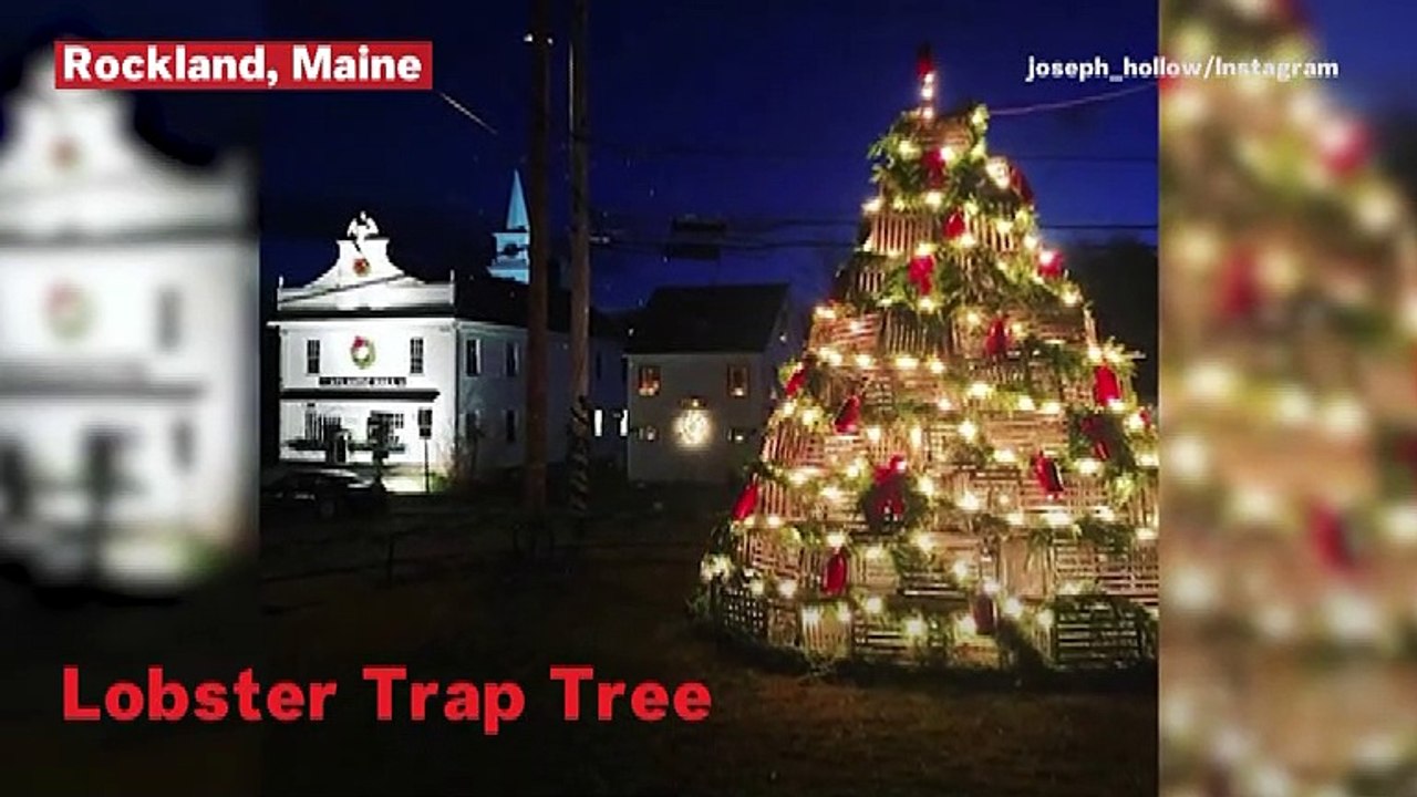 World's Strangest Christmas Trees