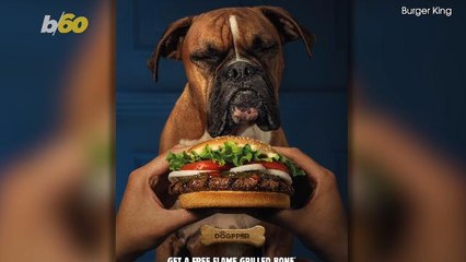 Burger King Introduces A Whopper-Flavored Bone for Dogs