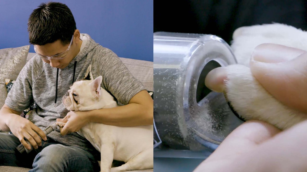 Grinding Your Pets Nails Is Better Than Cutting Them Because It Leaves A Smoother Finish