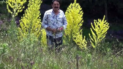 SON MEKTUBUYAZ ELİN TİTREMEDİMİ MERSİNLİ İSMAİL