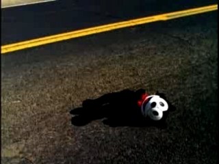 Cardigans - My Favorite Game