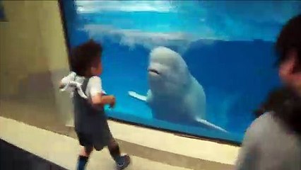 Ce dauphin adore arroser les enfants...