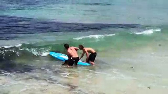 2 sauveteurs en mer sauvent un requin coincé dans un filet en bord de mer à Bondi Beach
