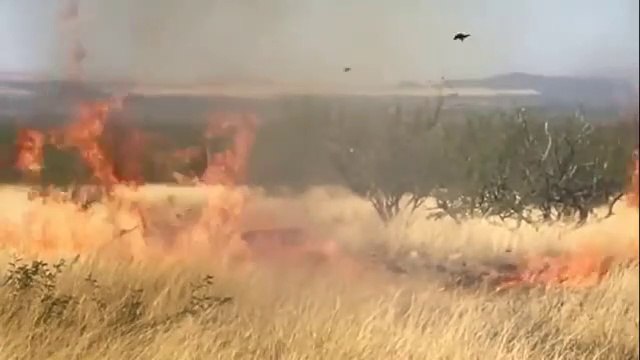 Quand la gender-reveal party tourne mal et provoque un incendie gigantesque