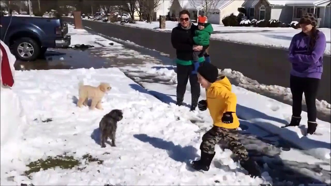 Quand ton père est un gros bourrin : il met KO son propre fils