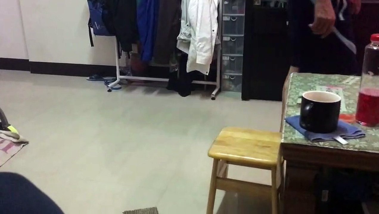 Sweet Kitty Sweeper Game