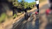 EPIC Moto WINS and FAILS of 2018 - 4! ( 720 X 1280 )