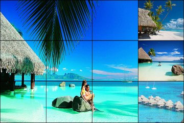 STEVE OLIVER - Vamonos