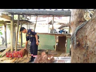 ฅนกู้ภัย (ช่วยสุนัข) 12.3