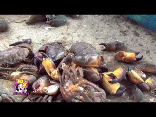 เจ๊รู้ (สติ๊กเกอร์ท้ายรถ)