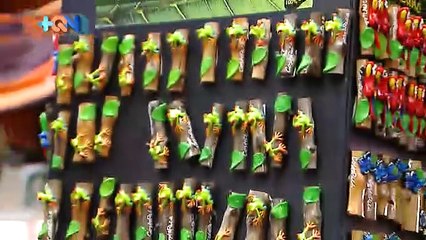 +QN 28 Noviembre 2018