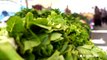 FDA and CDC warns not to eat romaine lettuce due to E. coli outbreak
