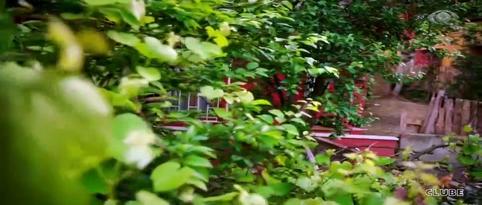 Novela MINHA VIDA - Capitulo 37 Completo 28-11-2018 HDTV Full HD