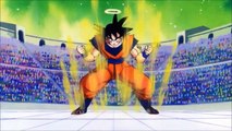 Goku vs Pikkon Full Fight