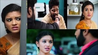 Sembaruthi 29.11.2018 Today Full Episode - Zee Tamil Serials Online