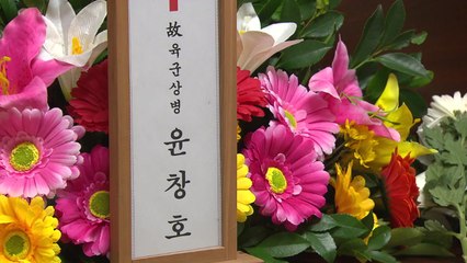 후퇴한 윤창호법...국민 법감정 기만 논란 / YTN