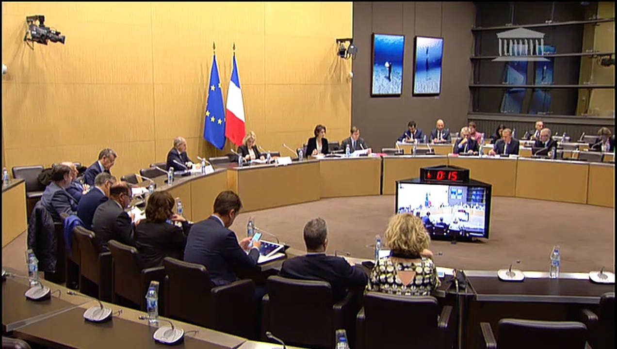 Commission du développement durable : M. Pierre Dubreuil, dg délégué du Muséum national d’histoire naturelle ; Table ronde de représentants d’associations environnementales sur le projet de création de l’AFB-ONCFS  - Mercredi 28 novembre 2018