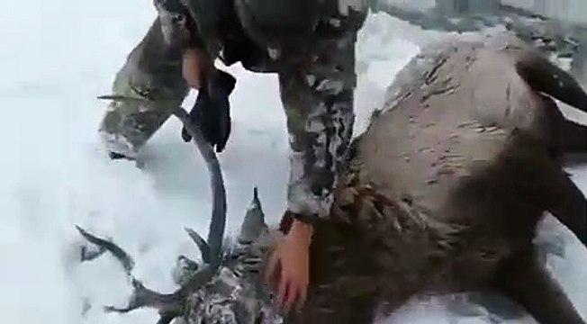 Всё же есть в этом мире добрые люди