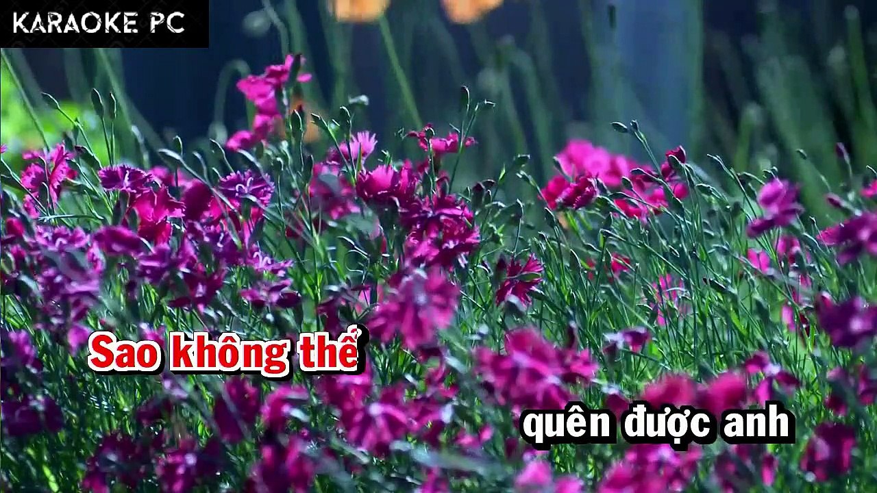 Karaoke Không Thể Quên Anh - Phương Thùy